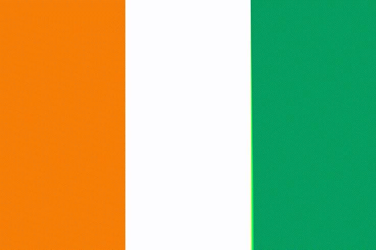 Benin flag